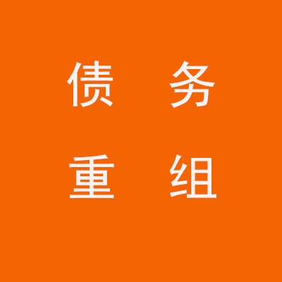新密个人债务重组优化